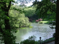 Tot rust komen in Central Park