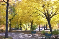 Herfst in Boston