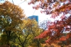 Indian summer