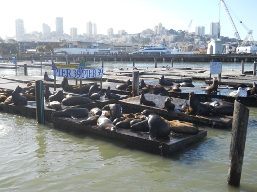 Pier 39