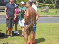 Maoribillen