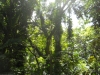 De botanische tuin in Darwin