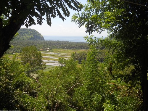 Rijstterrassen in Bali