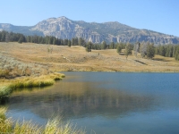 Trout Lake
