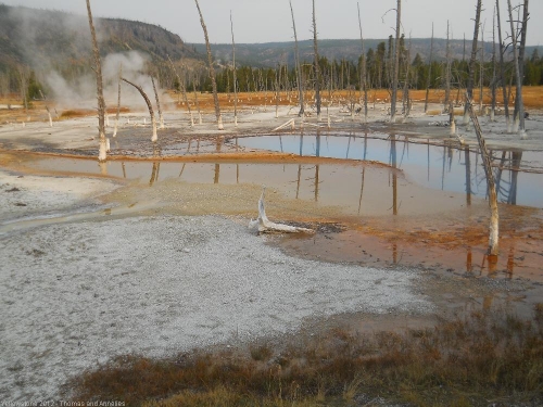 Black Sand Basin