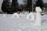 Mooie sneeuwdraak