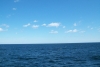 Horizonstaren